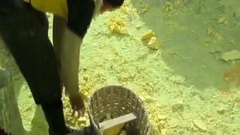 最新爆料大表姐,神秘男友身份引热议,细节揭秘